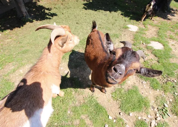 Reblandhof Siebenhaller Apartamento